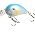 FILEX LURES BOMB